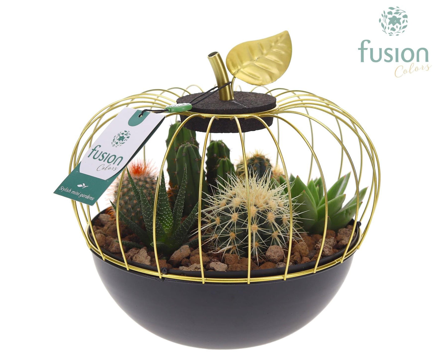 Metaal appel goudzwart Large met Cactussen en Succulenten 25cm 23cm Pot