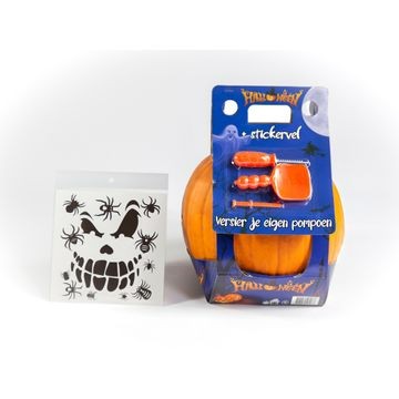 Cucurbita Halloween Carvebox 23cm Pot