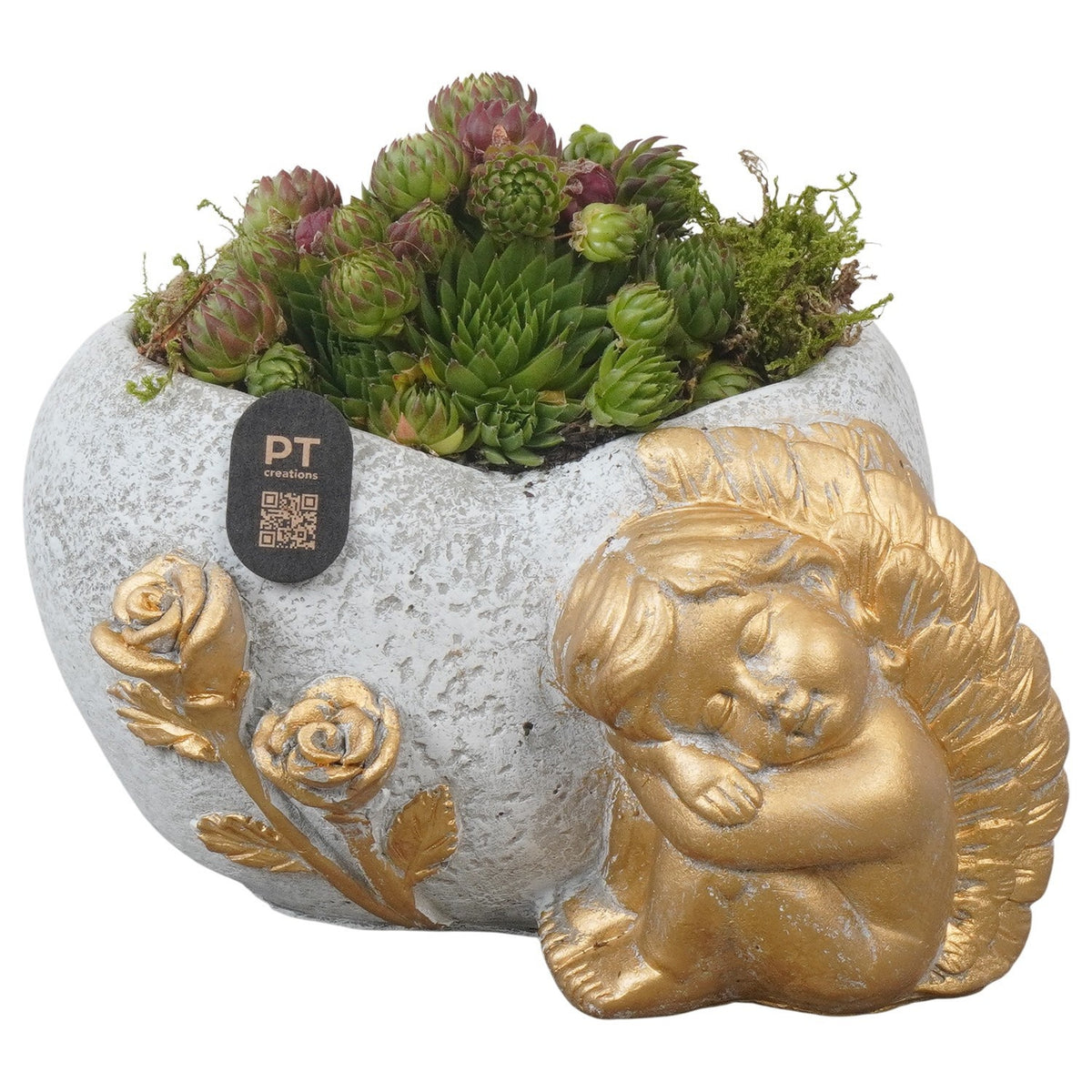 arr. all saints day 13cm 17cm Pot