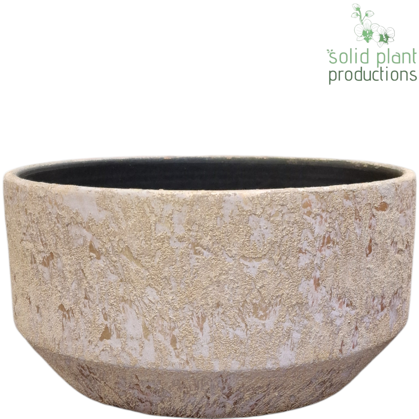 Solid Plant Productions C240 Maria Gold Bowl 26cm Pack of 2