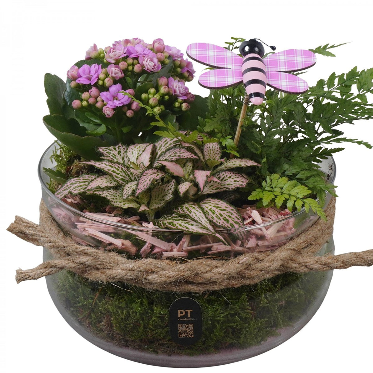 Indoor arrangement 18cm 19cm Pot