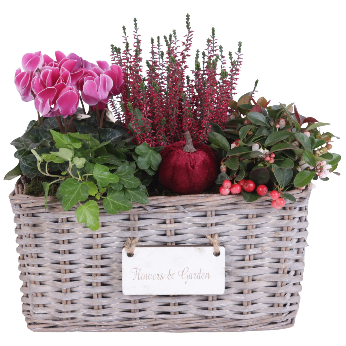 Outdoor arrangement 35cm 30cm Pot
