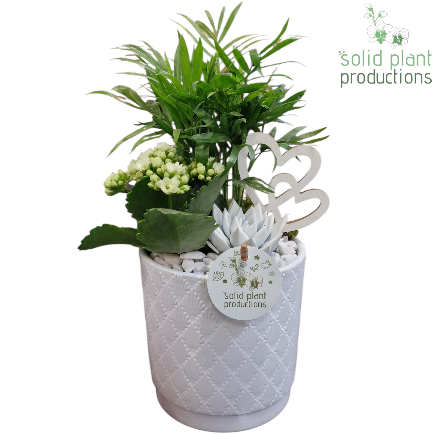 CE001 Amy White VM 35cm 13cm Pot