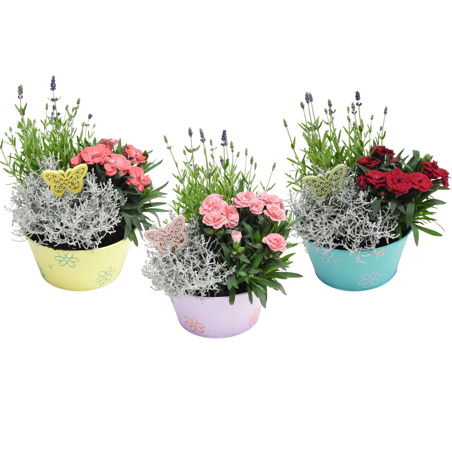 Outdoor arrangement 30cm 18cm Pot