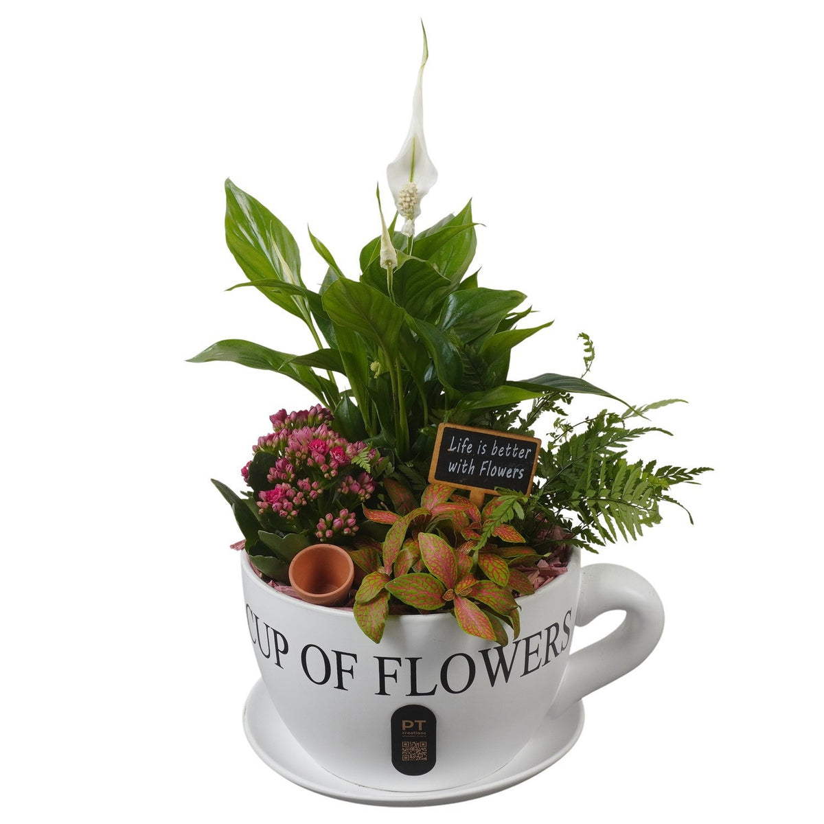 Indoor arrangement 44cm 24cm Pot