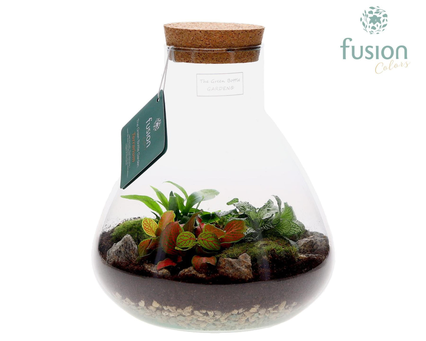 Terrarium Pyramide Medium met arrangement 25cm 22cm Pot