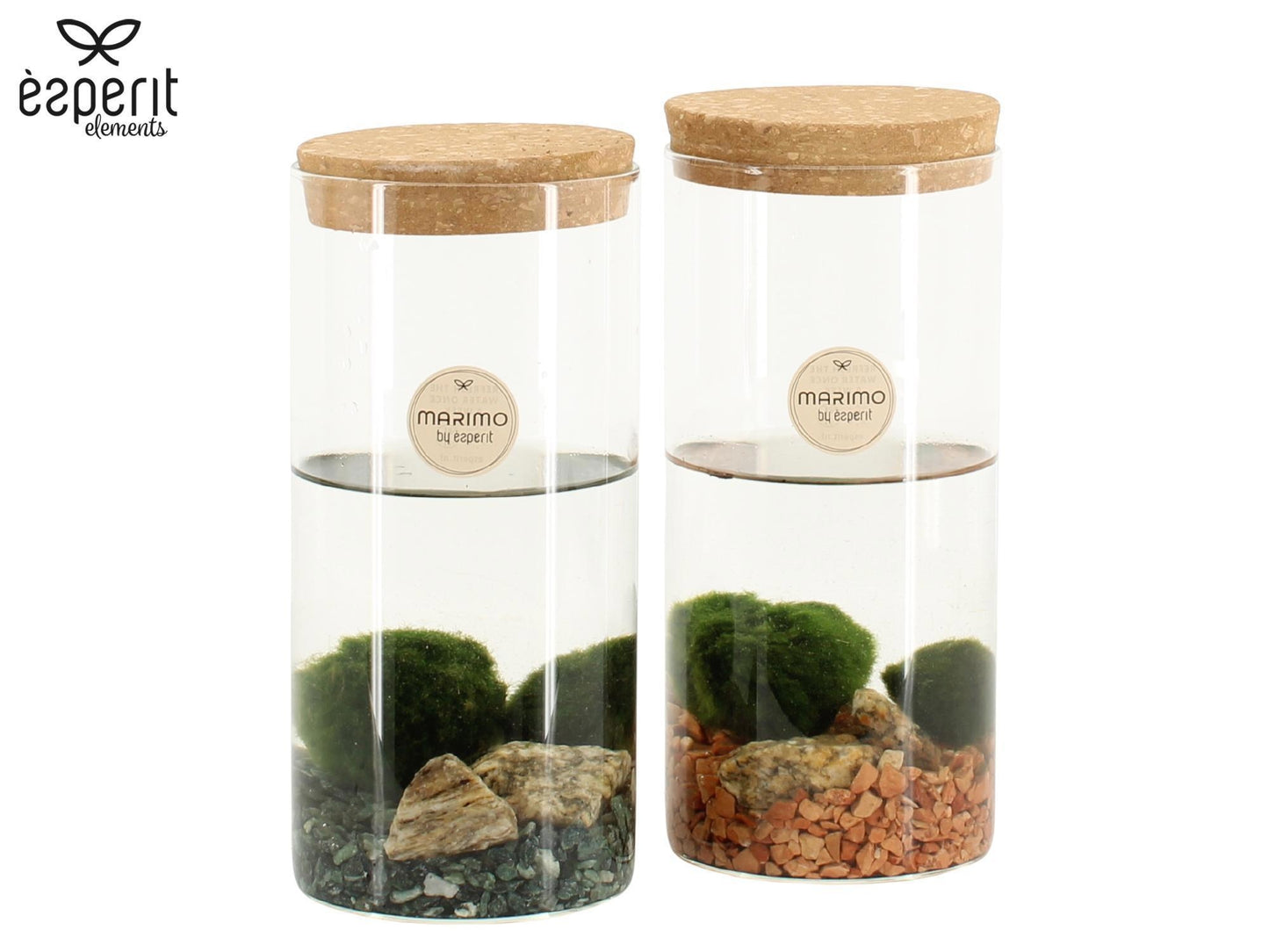 arr. Water plant Terrace pond wood 20cm 9cm Pot