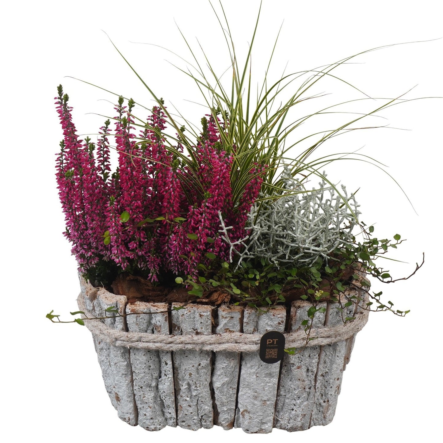 Outdoor arrangement 31cm 23cm Pot