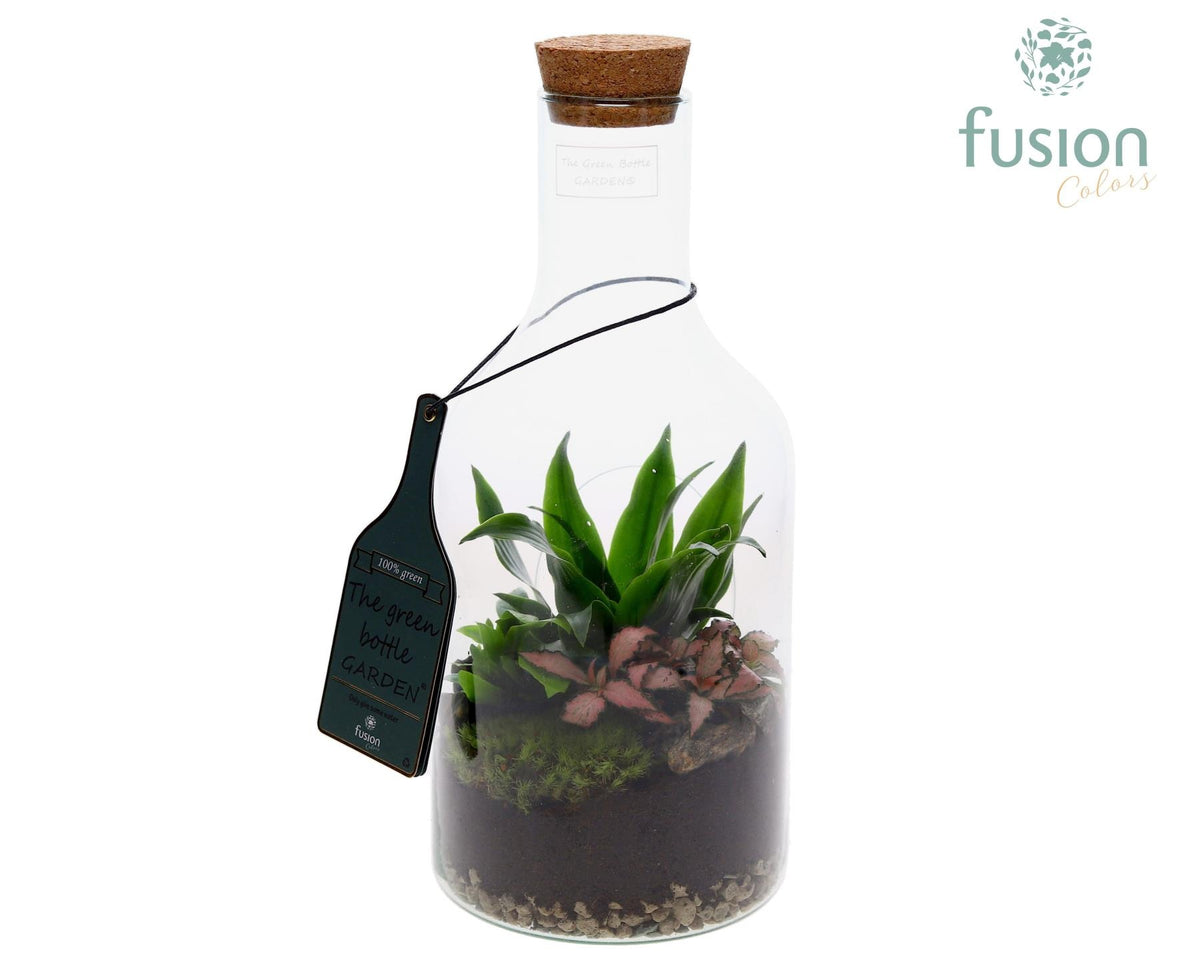 Green Bottle Fles Small met Arrangement 35cm 15cm Pot
