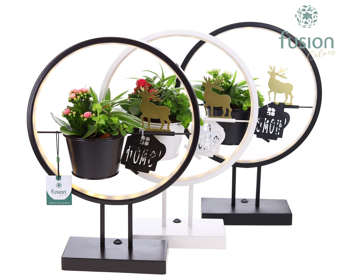 Metalen LED globe met rendier en Kerst Arrangement 43cm 30cm Pot