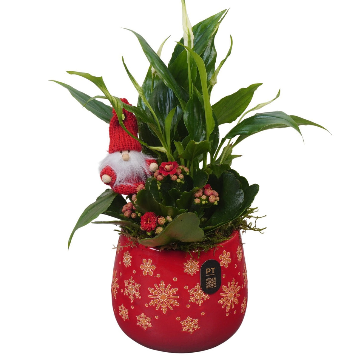 Christmas arrangement 30cm 12cm Pot