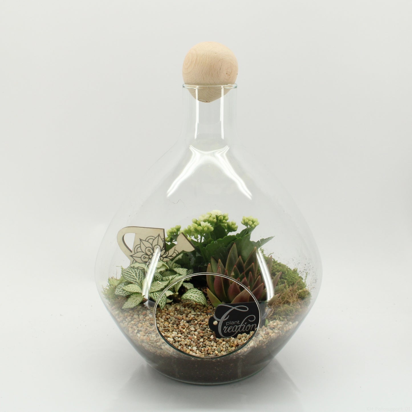 ESCR-2635W Essentials terrarium 35cm 26cm Pot