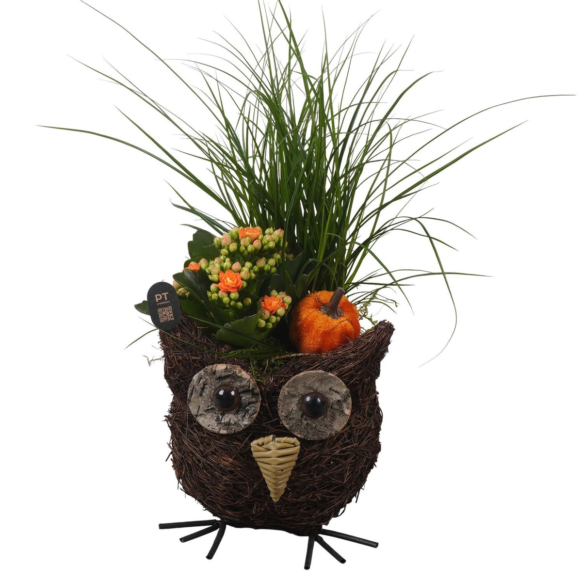 Indoor arrangement 33cm 15cm Pot