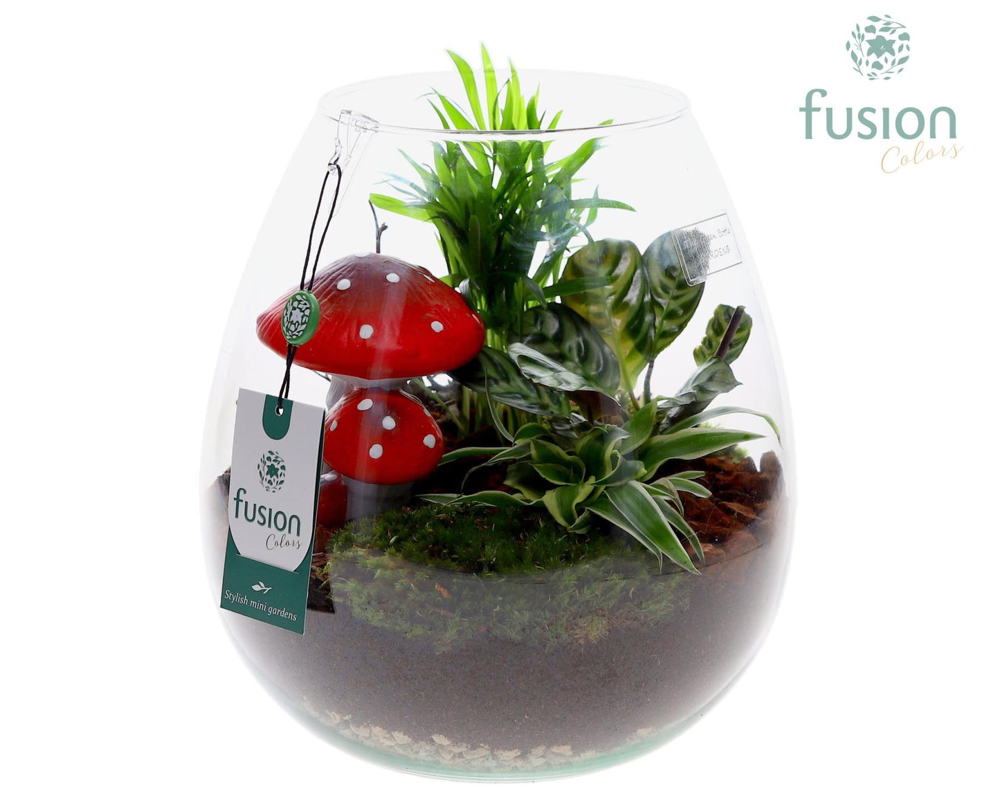 Green Bottle Abby Large met Herfst arrangement 25cm 24cm Pot