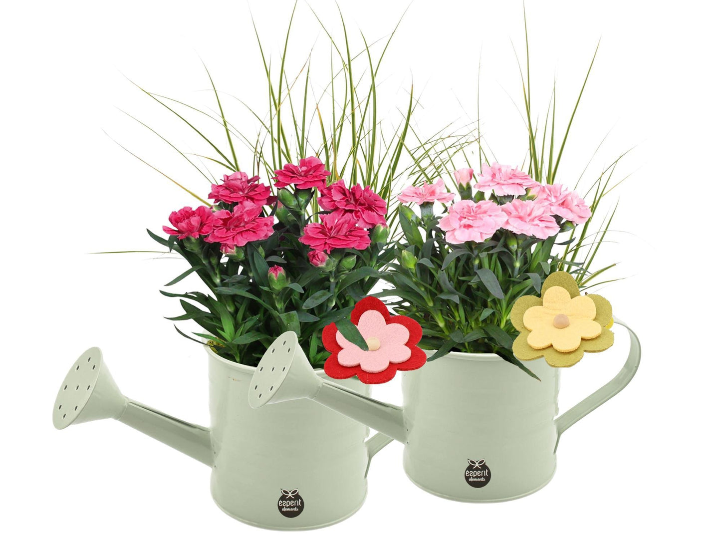 Outdoor arrangement 28cm 12cm Pot