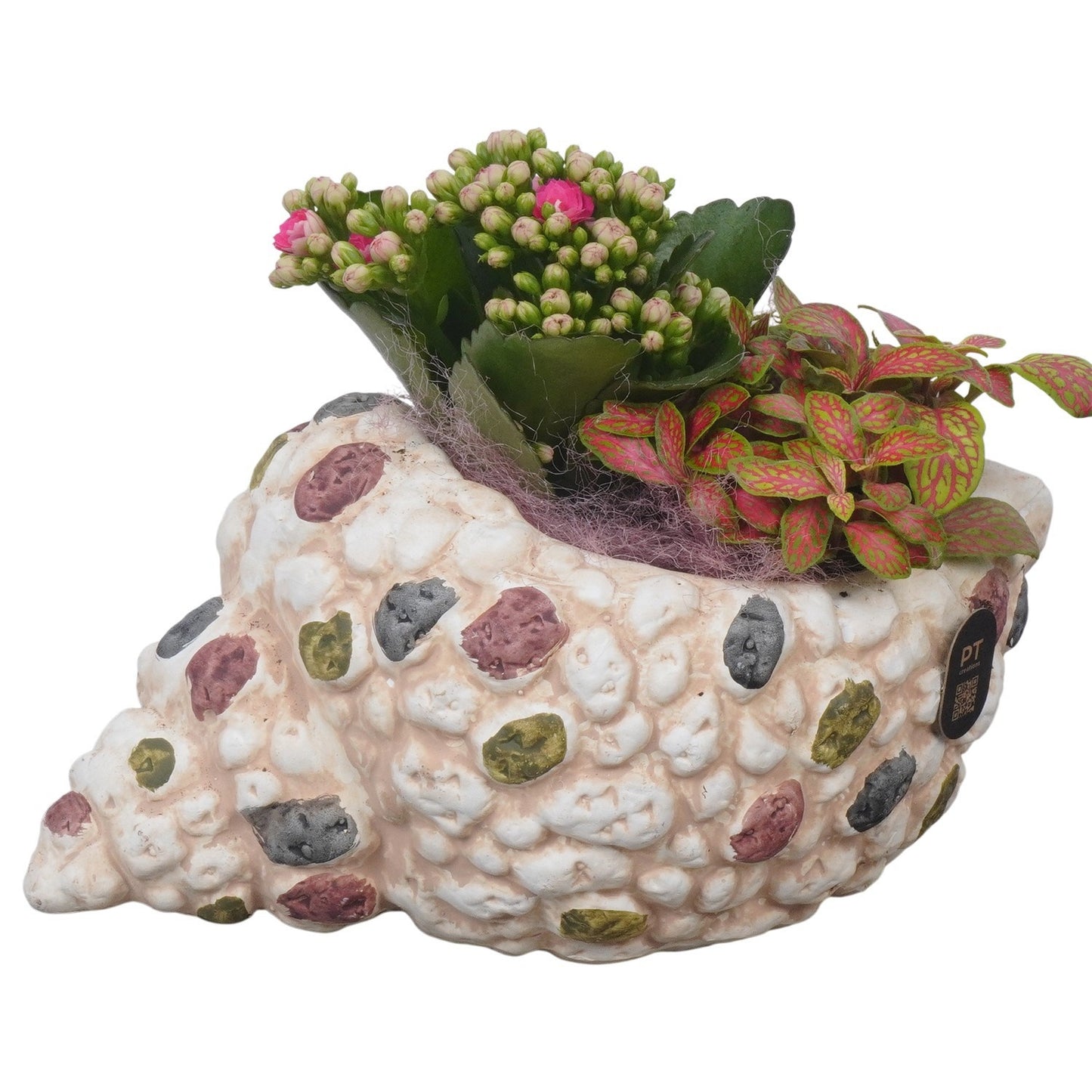 Indoor arrangement 17cm 23cm Pot