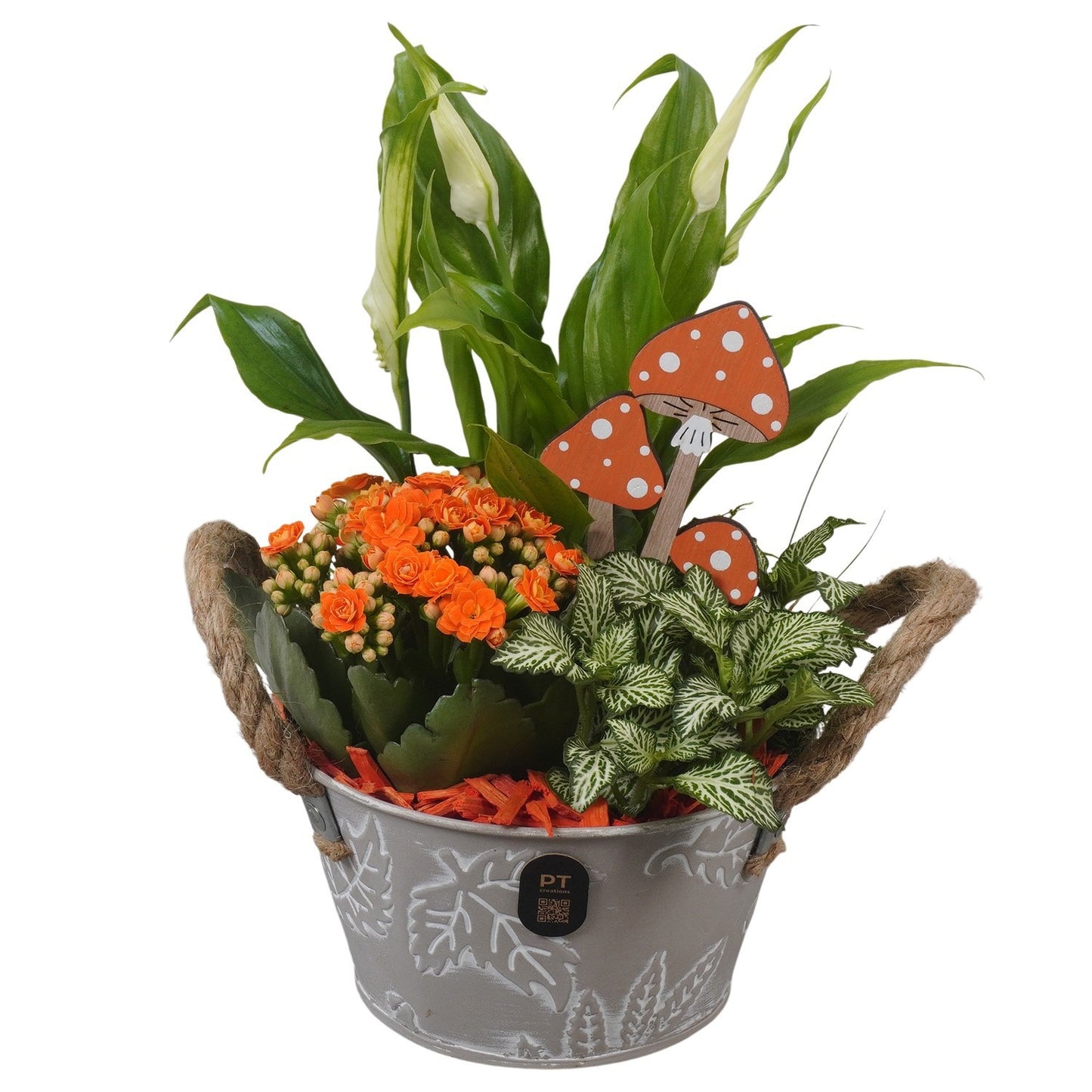 Indoor arrangement 29cm 15cm Pot