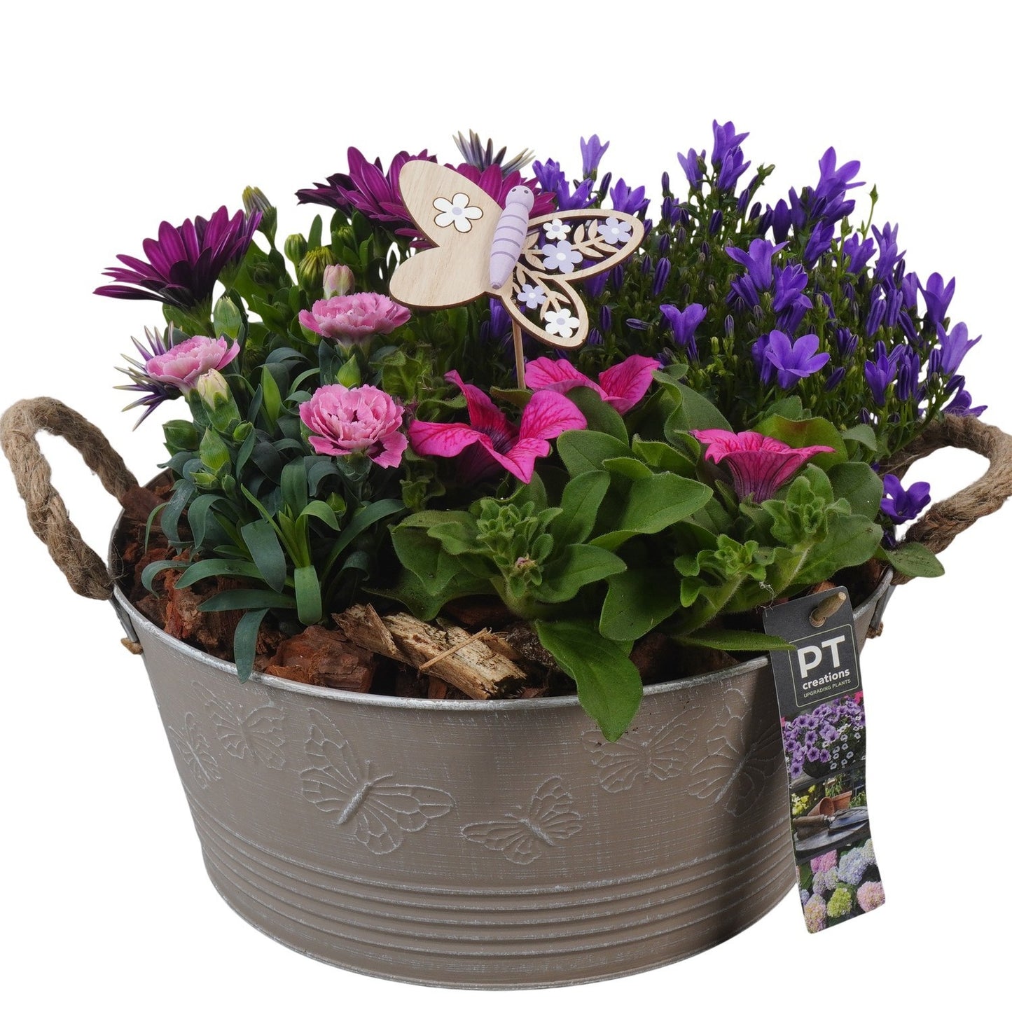 arr. PM196 25cm 27cm Pot