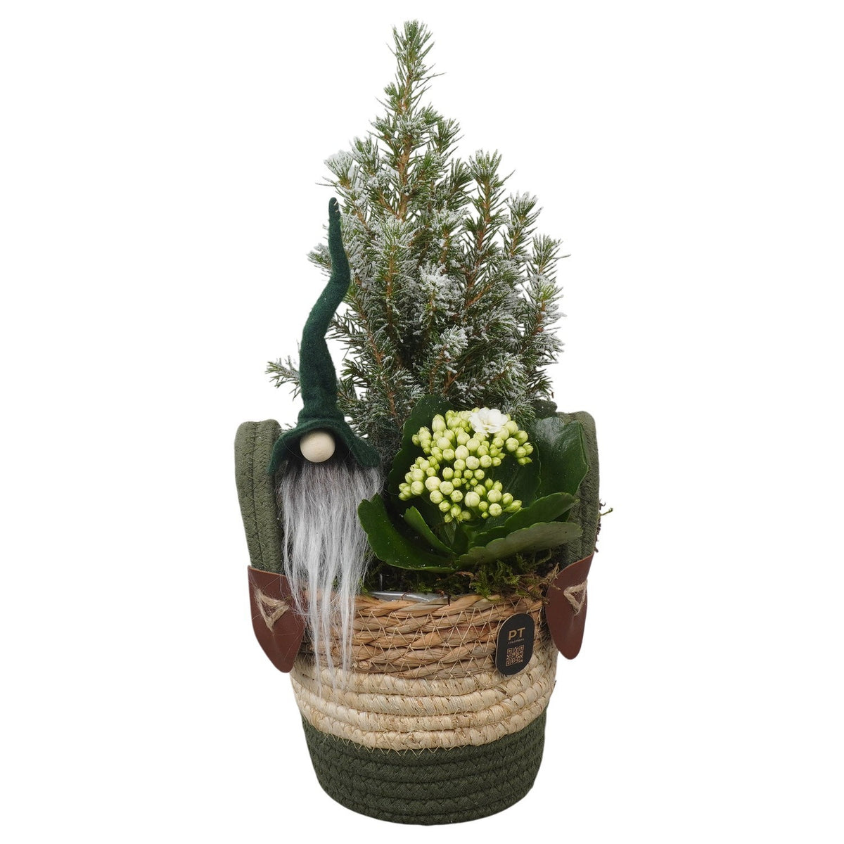 Christmas arrangement 36cm 14cm Pot