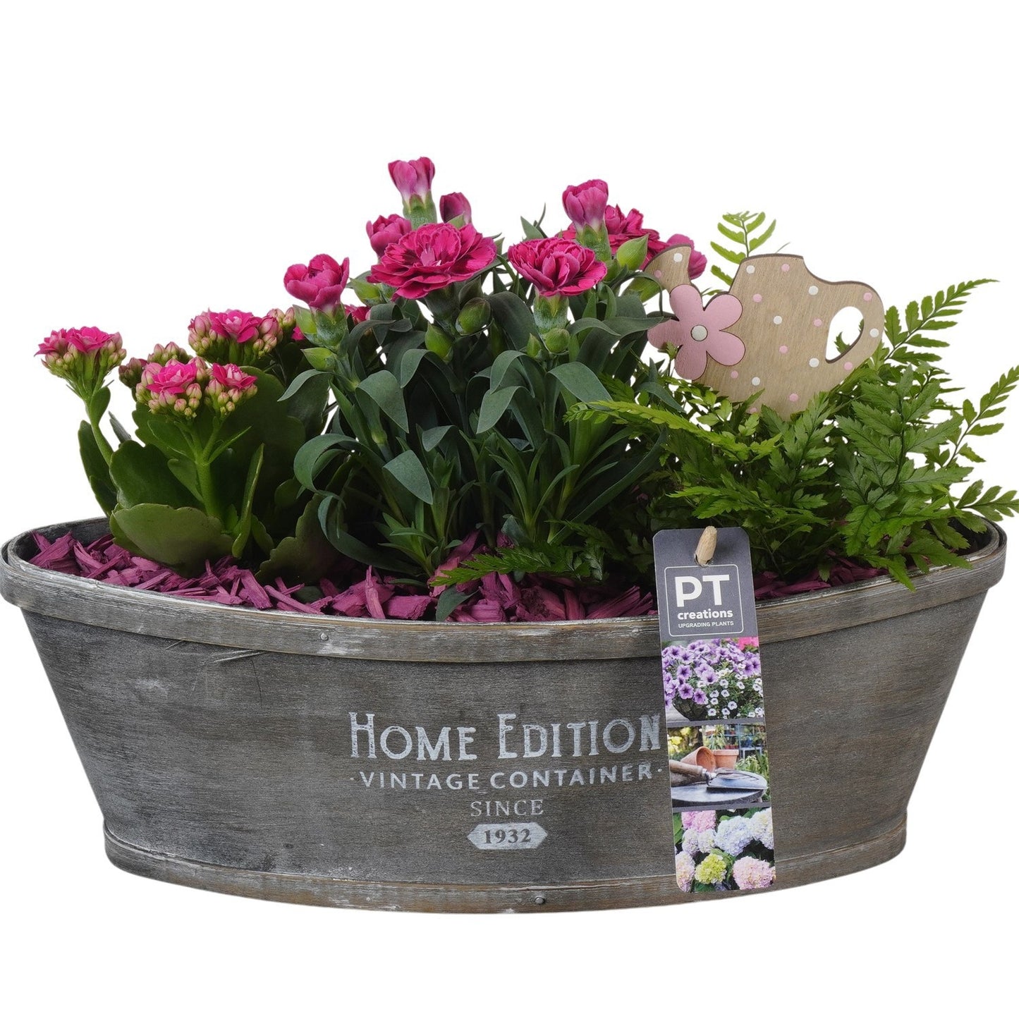 Outdoor arrangement 23cm 32cm Pot