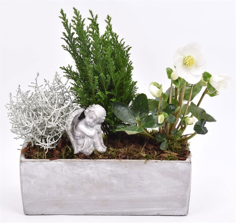 arr. JSAL-2003 28cm Pot
