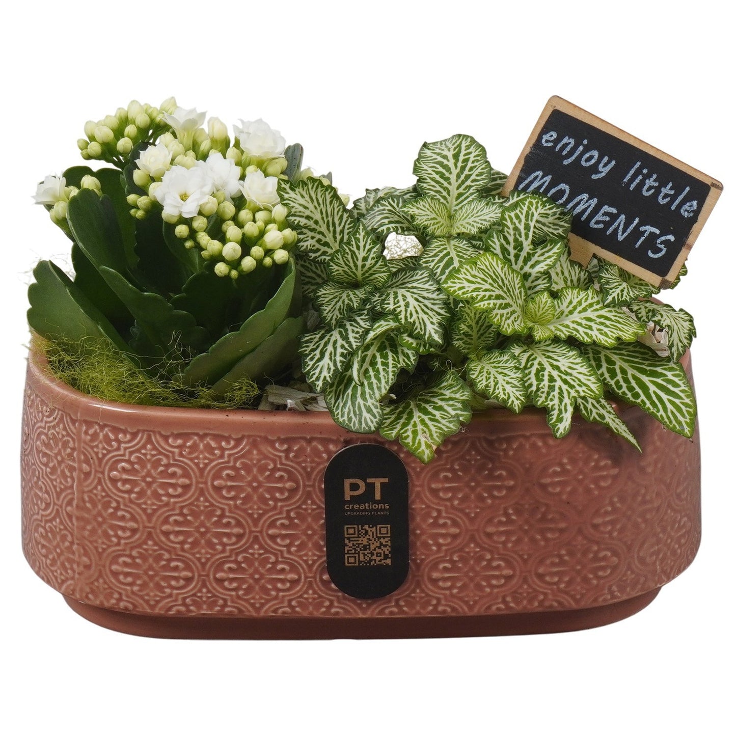 Indoor arrangement 17cm 21cm Pot