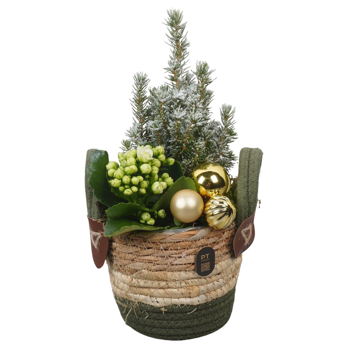 Christmas arrangement 31cm 14cm Pot