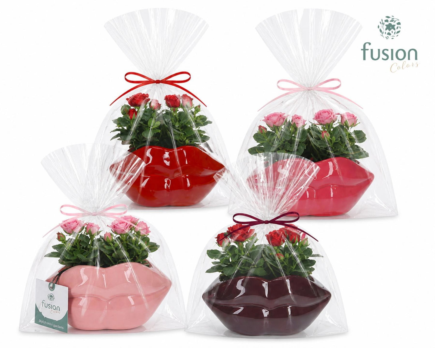 Fusioncolors BV Keramiek Lippen met Rosa in klaphoes Pack of 8