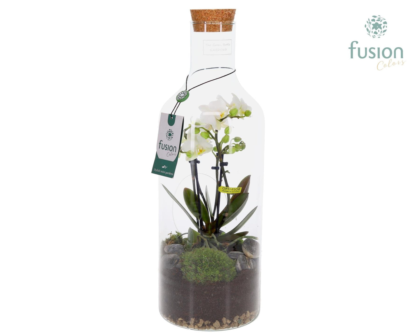 Fusioncolors BV Green Bottle Fles Medium met 4tak Phalaenopsis 24 uurs levertijd Pack of 6