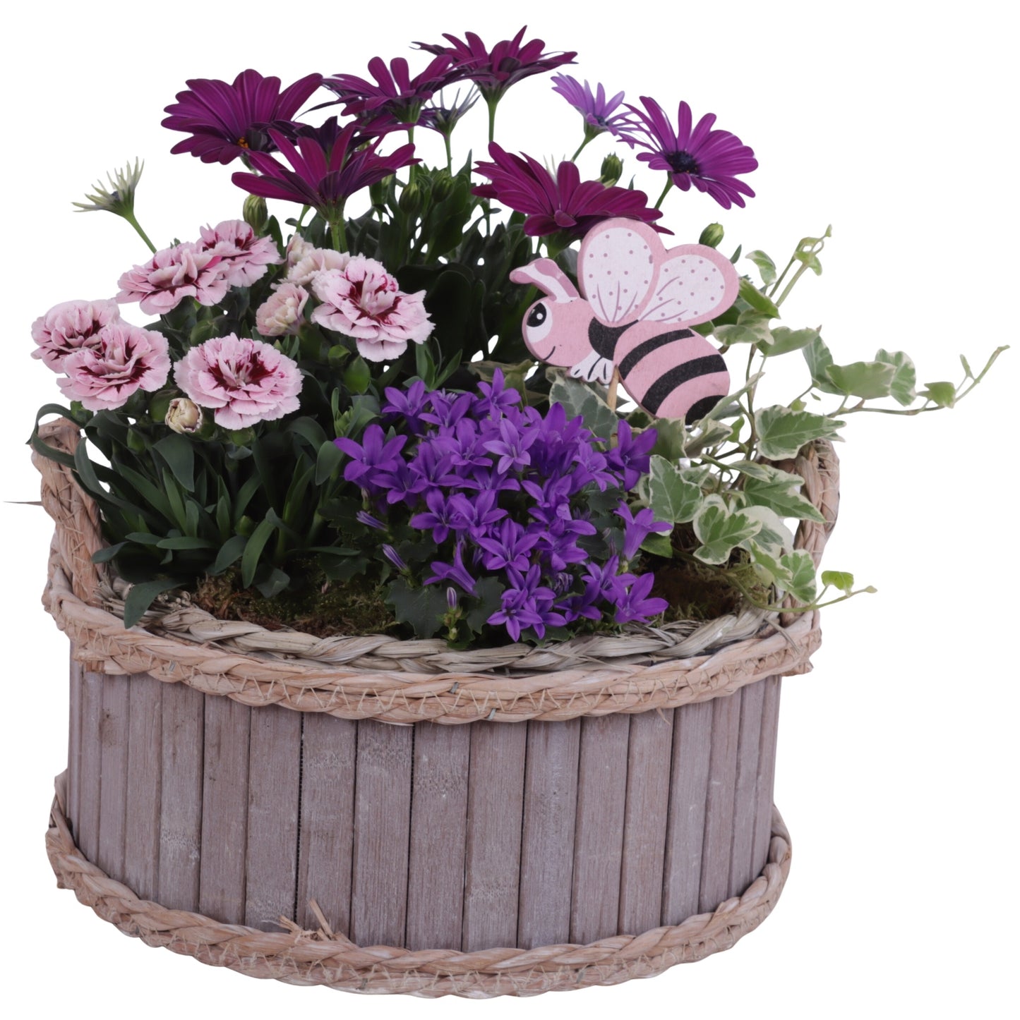 Outdoor arrangement 35cm 25cm Pot