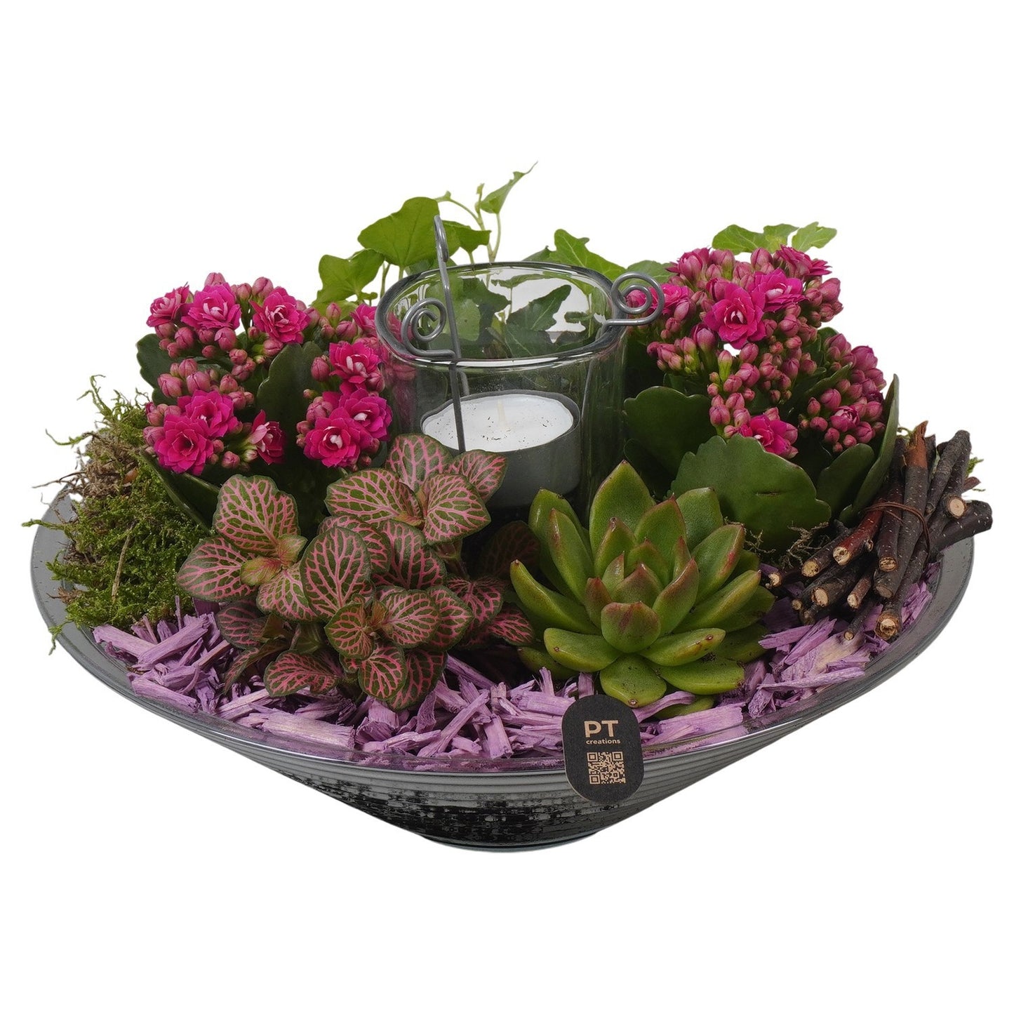 Indoor arrangement 19cm 26cm Pot