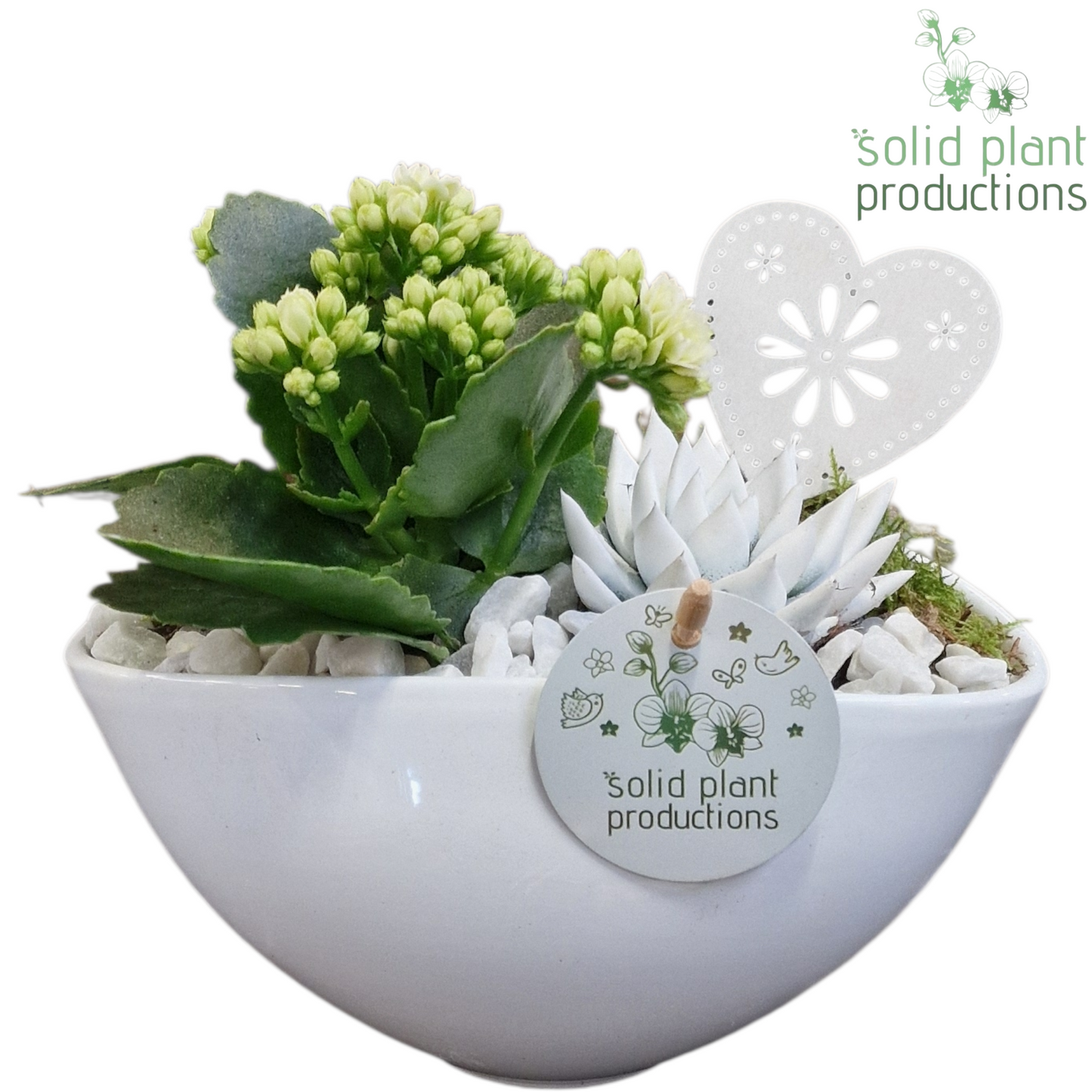 KE006 Katty White VM 22cm 19cm Pot