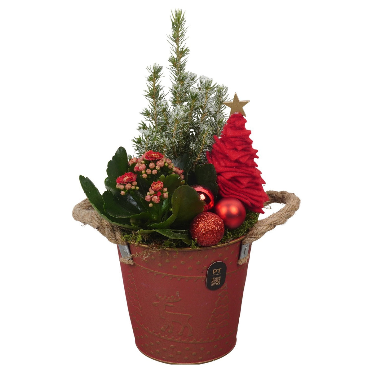 Christmas arrangement 37cm 14cm Pot