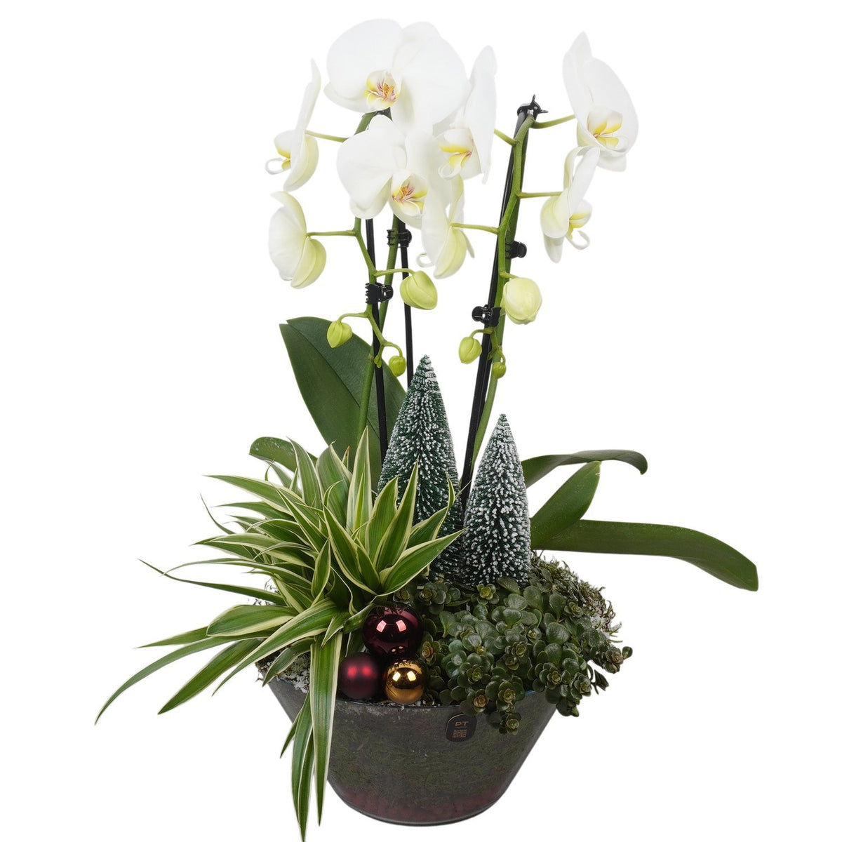 Christmas arrangement 58cm 25cm Pot