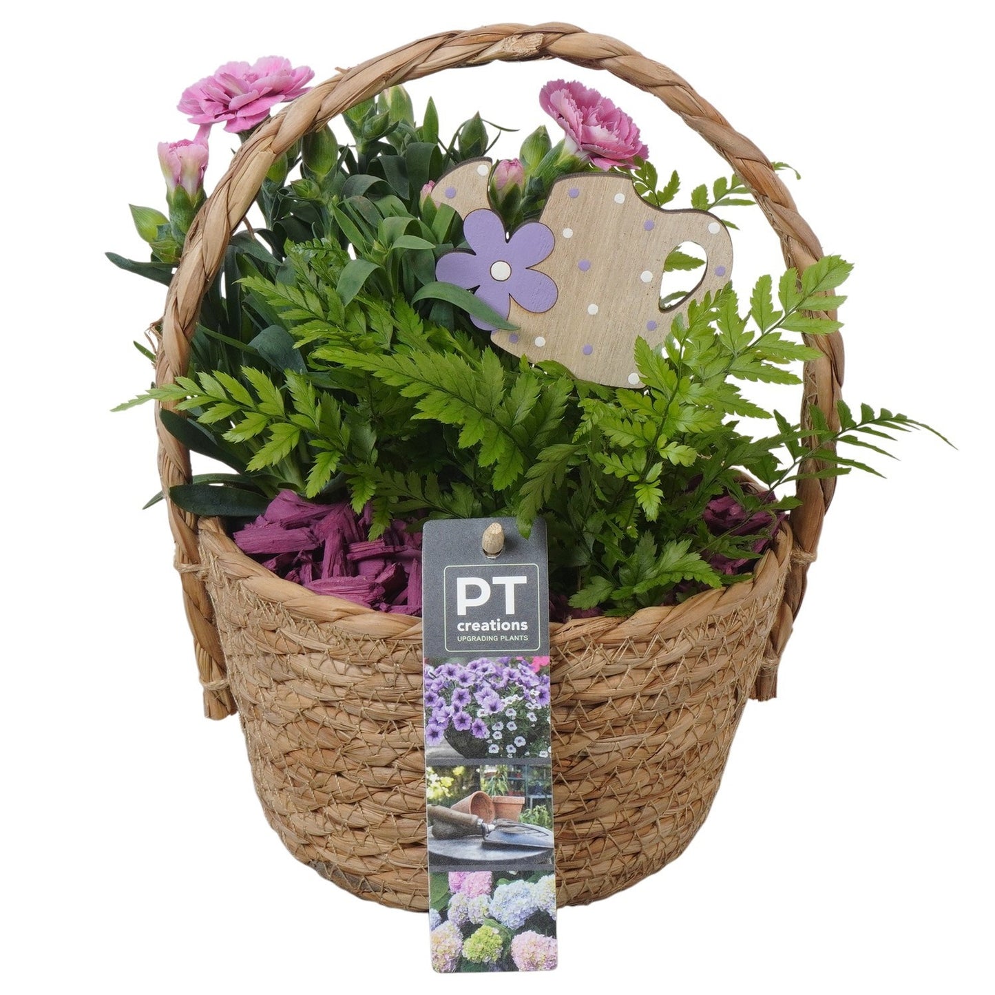 Outdoor arrangement 24cm 15cm Pot