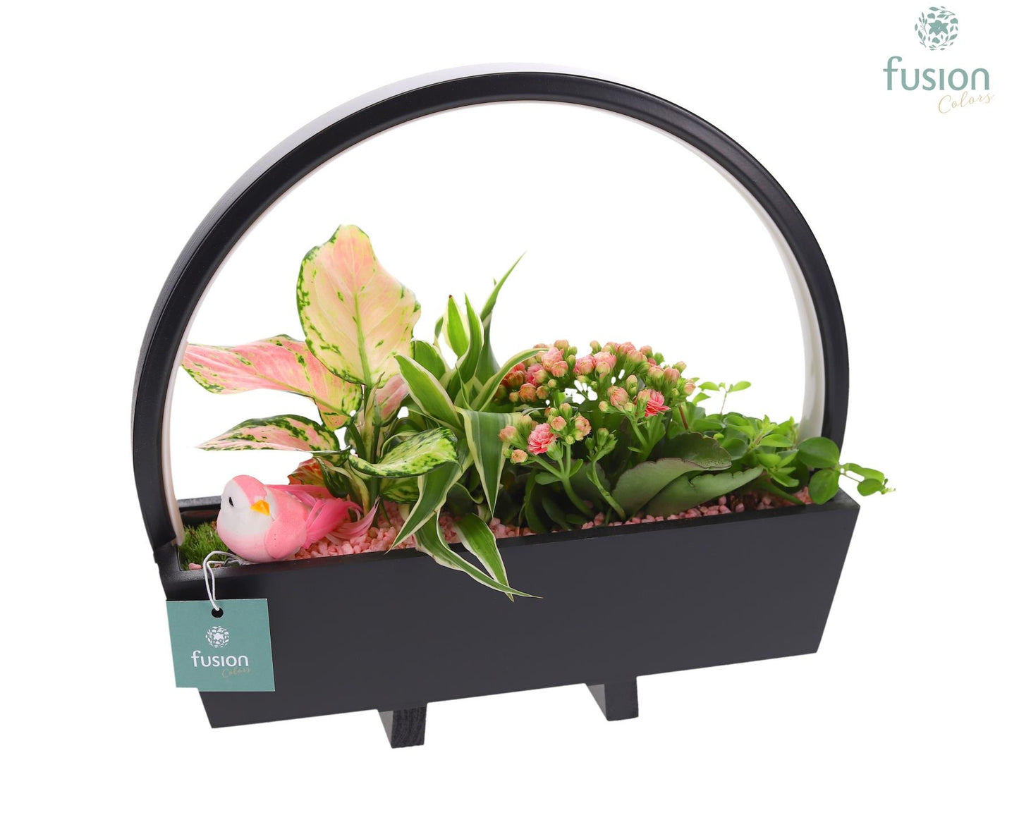 Fusioncolors BV Houten Tafellamp LED boog hout met arrangement 4pp Pack of 3