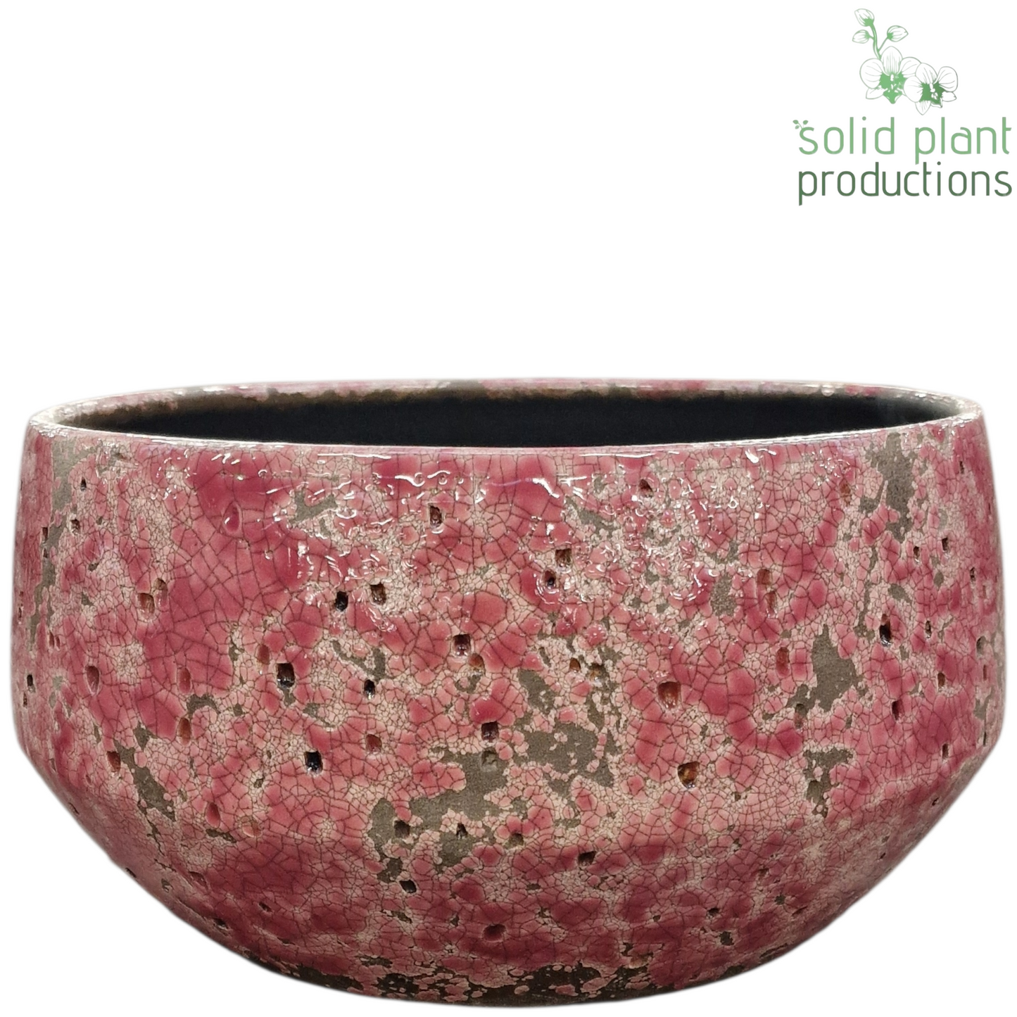 C132 Aurora Hard Pink Large 13cm 28cm Pot