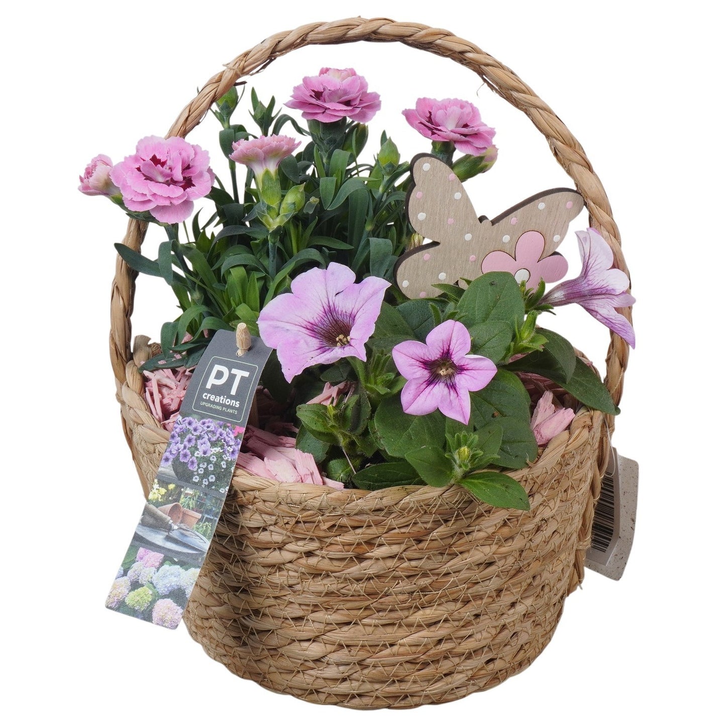 Outdoor arrangement 26cm 18cm Pot