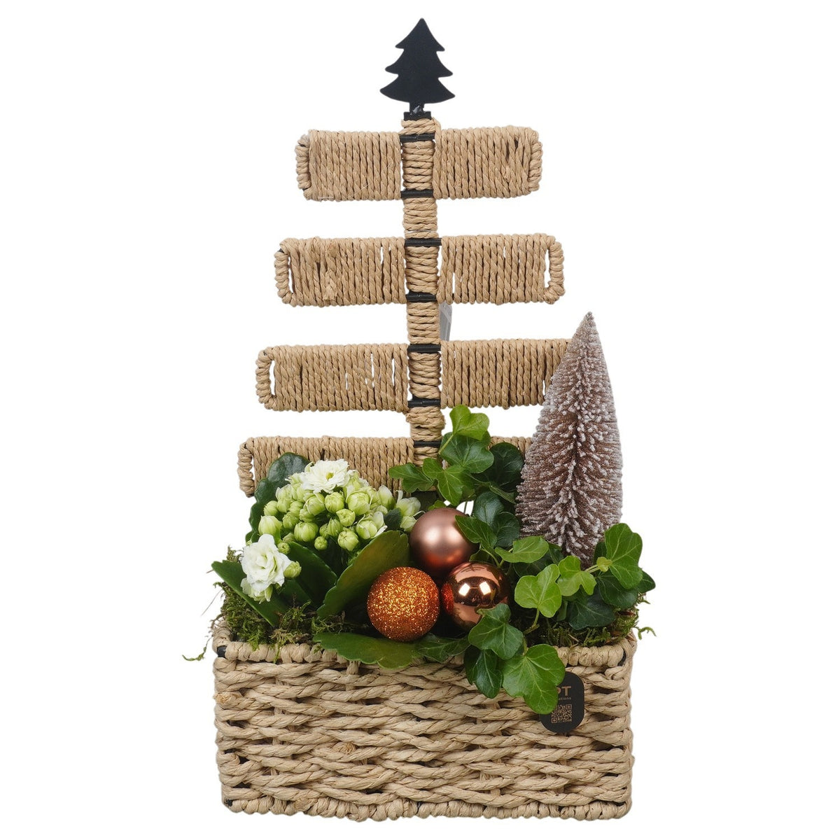 Christmas arrangement 34cm 18cm Pot