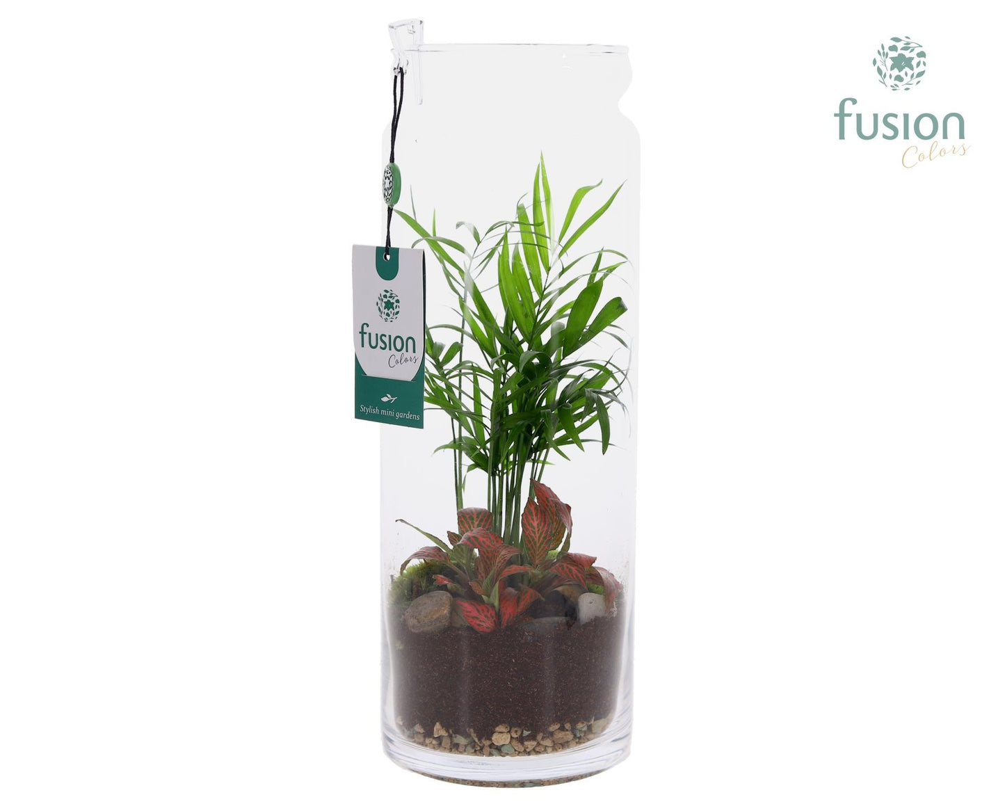 Glas Cilinder vaas met Arrangement 35cm 12cm Pot