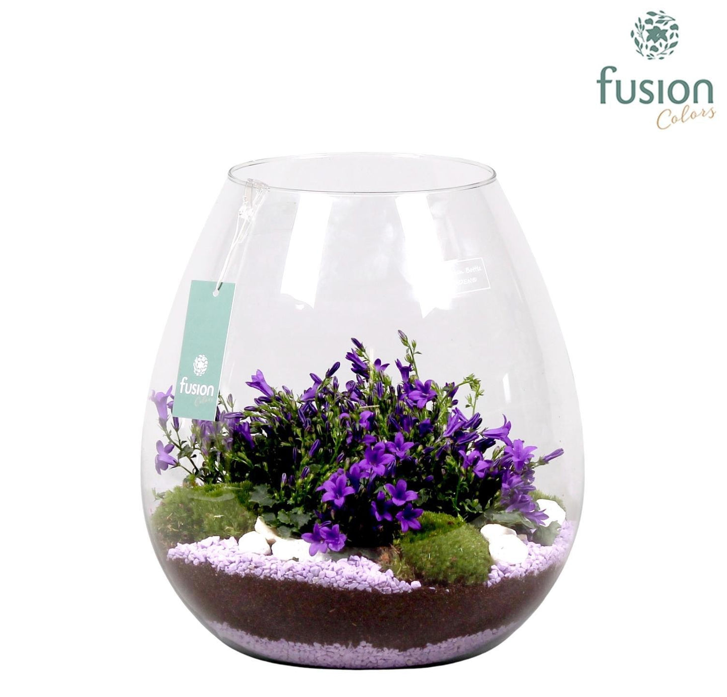 Green Bottle Abby XLarge met Campanula Arrangement 24 uur levertijd 29cm 29cm Pot