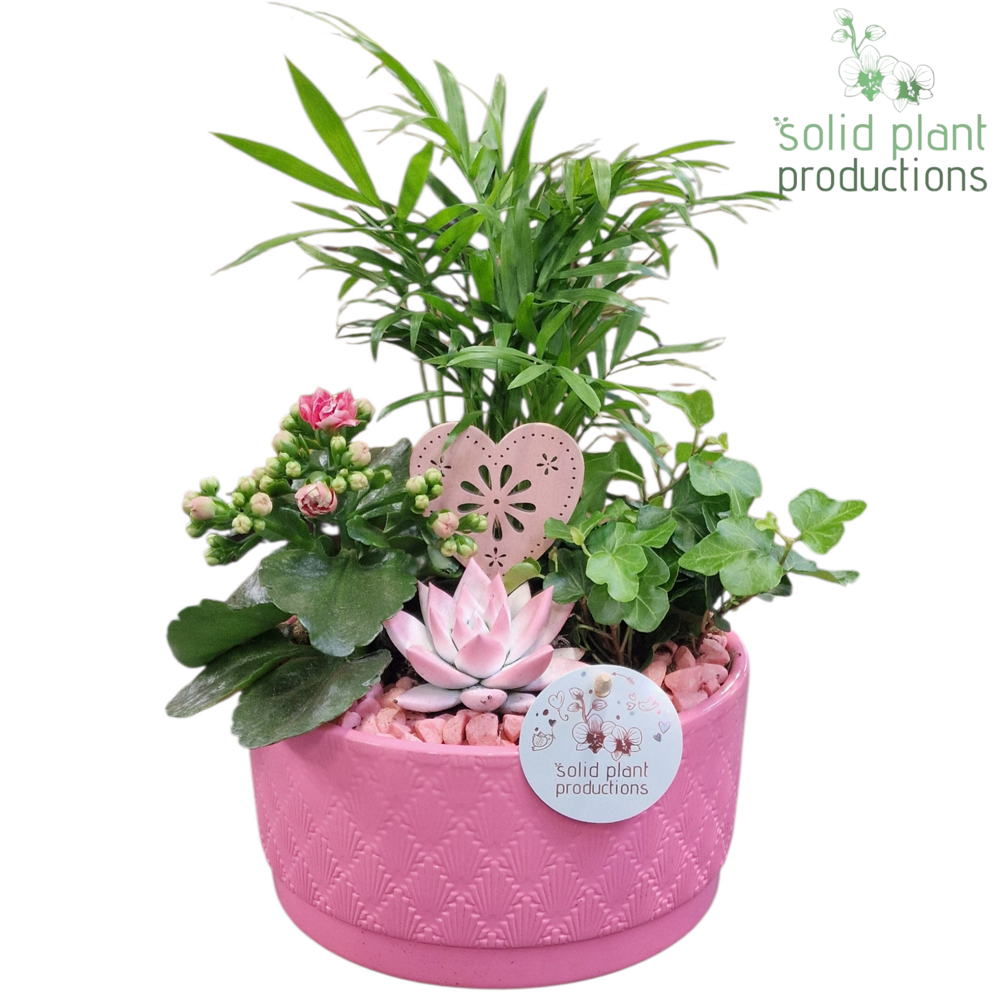 CE003 Loes Pink VM 35cm 18cm Pot