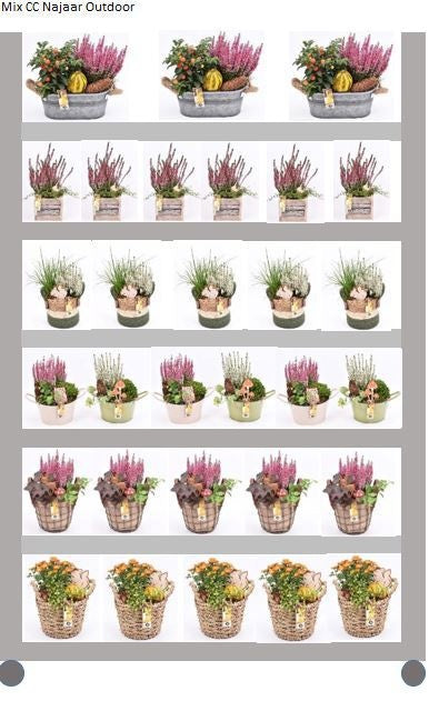 Outdoor arrangement 999cm Pot
