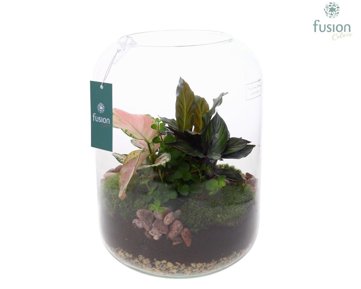 Green Bottle Isabella XLarge met groene planten 29cm 23cm Pot