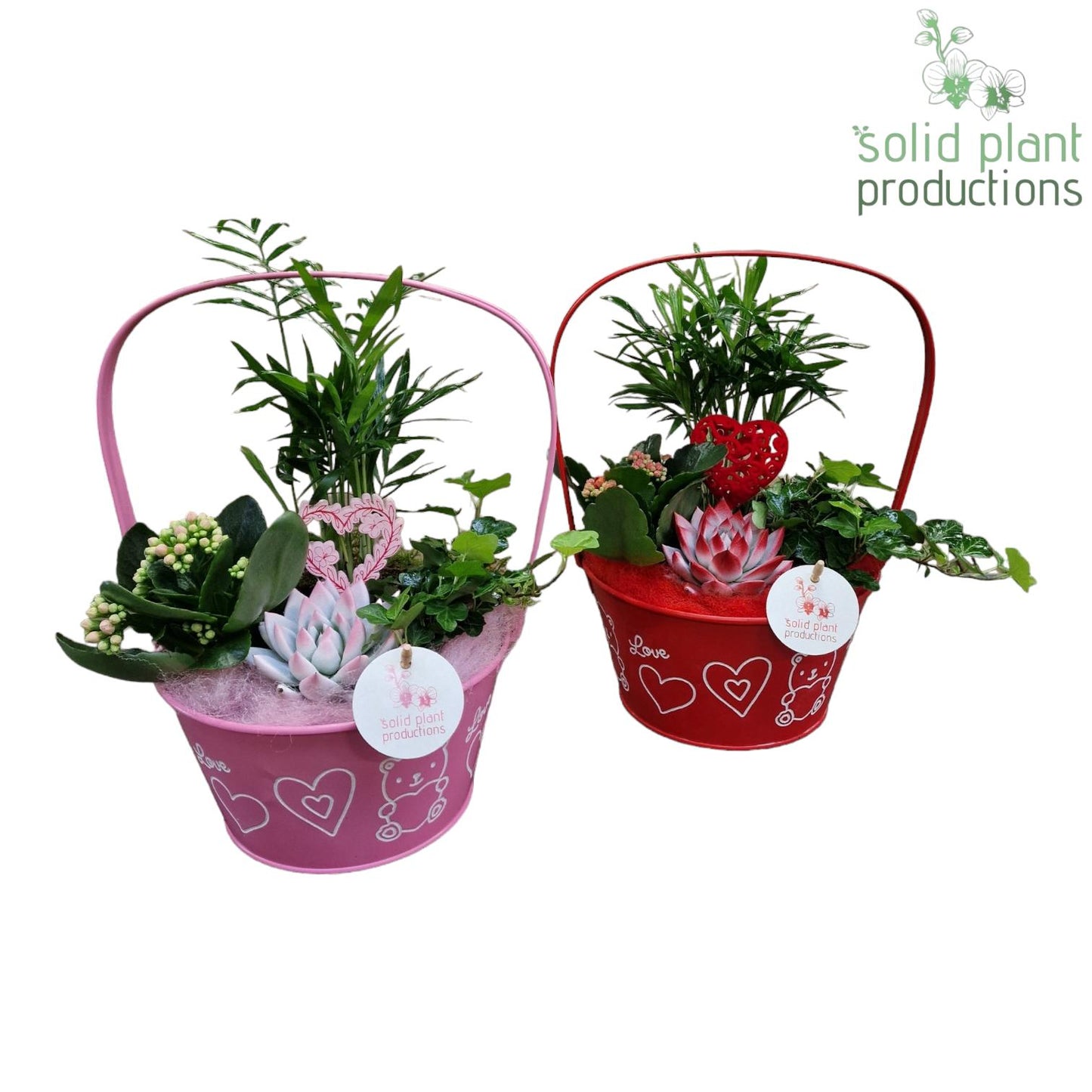 ZVC003 Joyce Red/Pink 35cm 23cm Pot