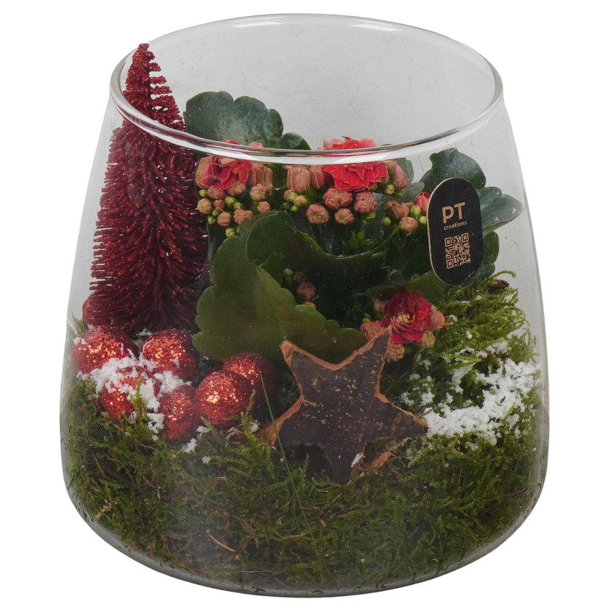 Christmas arrangement 15cm 14cm Pot