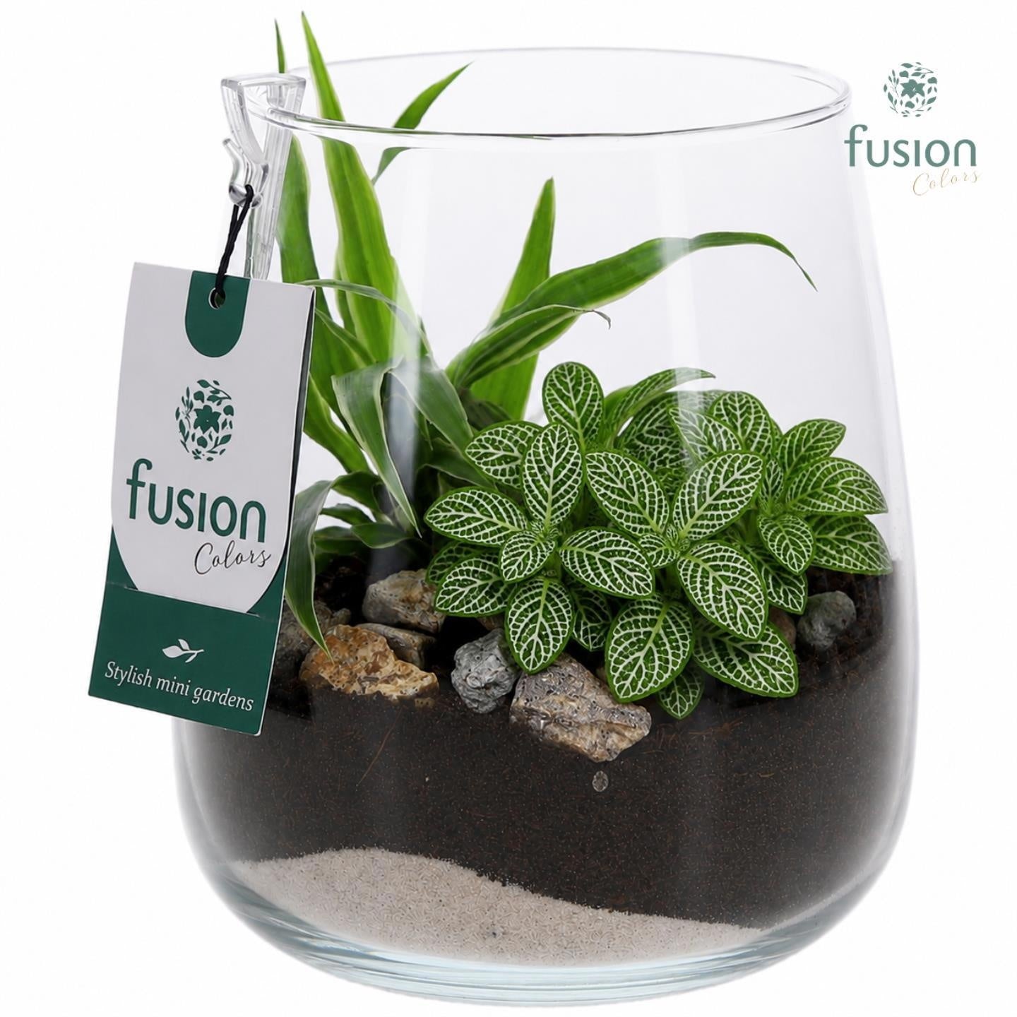 Glas Alzada klein met arrangement groene planten 2pp 15cm 15cm Pot