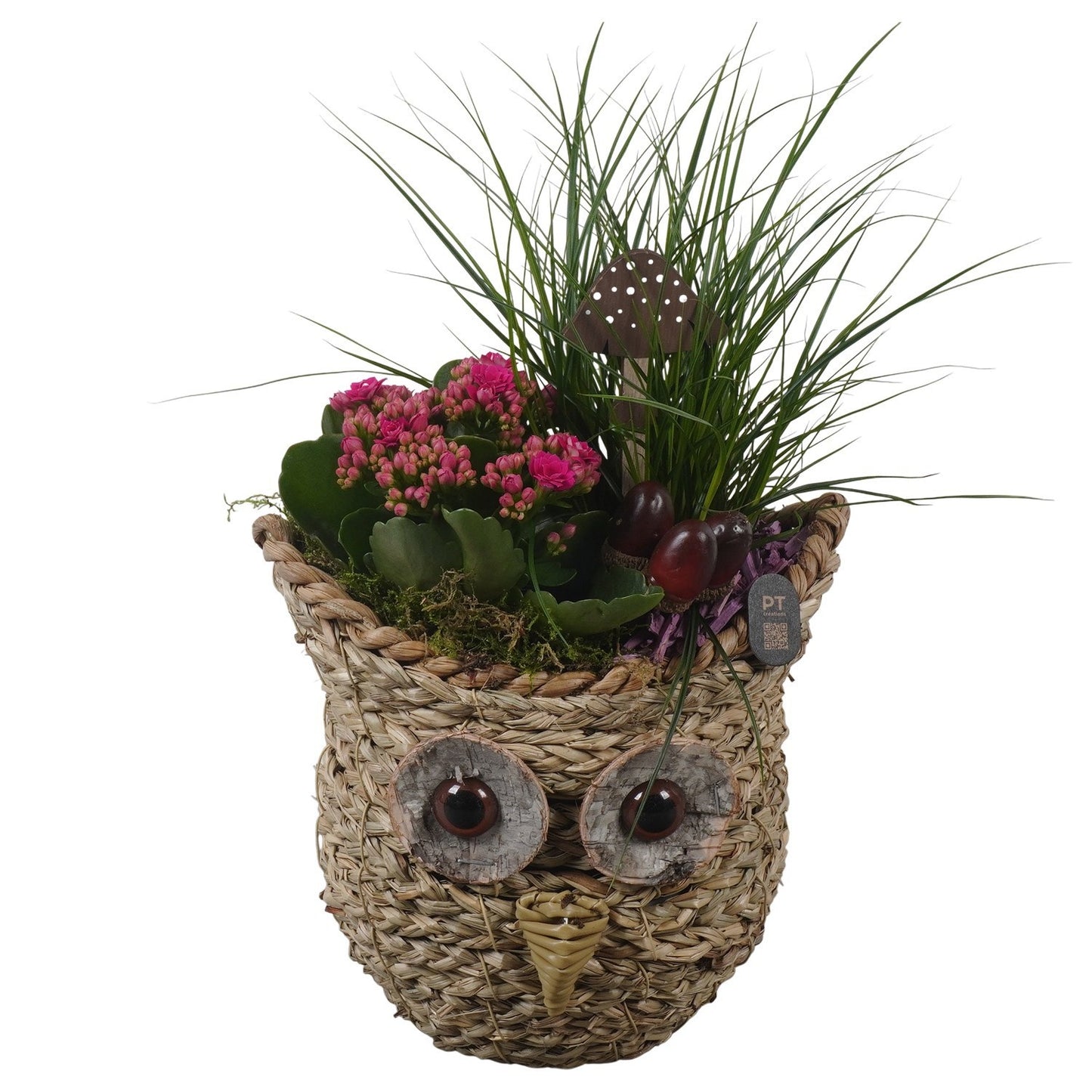 Indoor arrangement 45cm 21cm Pot