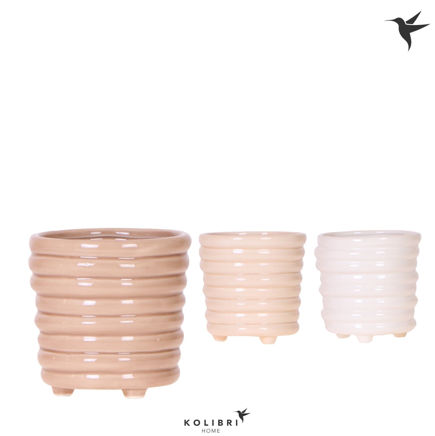 OK Plant Kolibri Home Ring pot mix Pack of 7