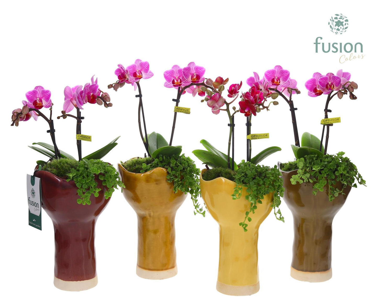 Keramiek vaas met arrangement 35cm 13cm Pot